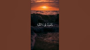 القارئ اسلام صبحي #اسلام_صبحي #القرآن_الكريم #الصلاة_على_النبي #reels #quran