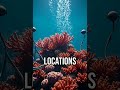 Discover the tech saving our reefs! #CoralReef #Innovation #MarineTech