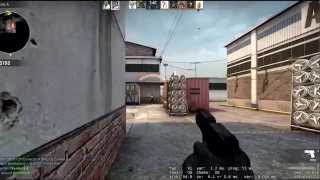 Enemy player model really messed up mid comp game