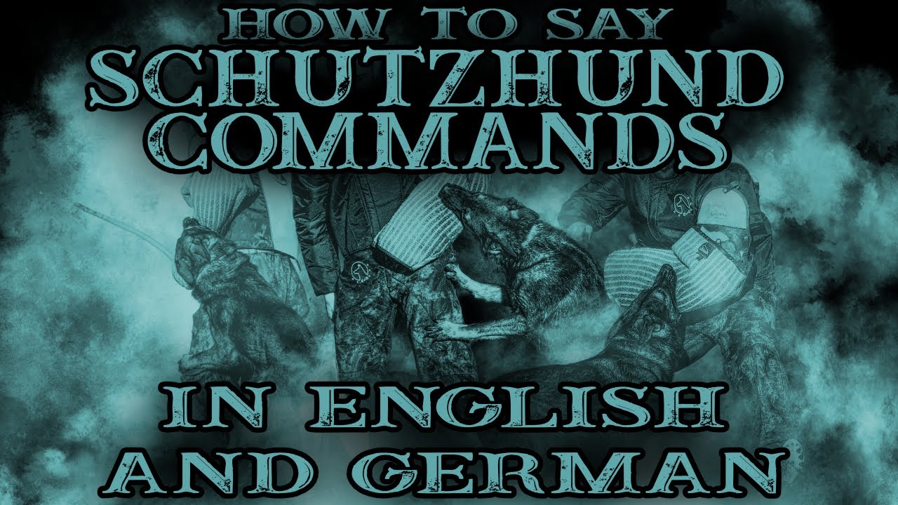 How to say every schutzhund/IGP/IPO dog training commands in English