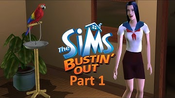 The Sims Bustin