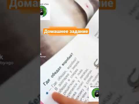 ВЫПОЛНЕНИЕ ДЗ |