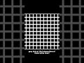 Your Brain vs Reality: The Hermann Grid Illusion 🔲 (Part 12) #design