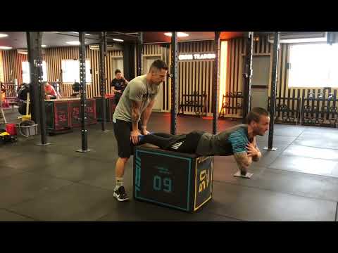Box Back Extension