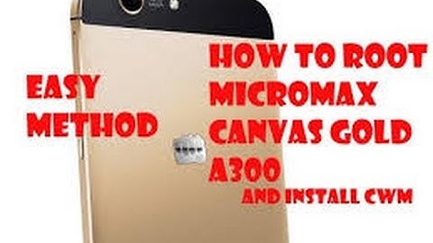 Root canvas gold a300....