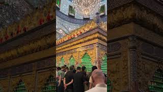 إن شاء الله تفرحون بقضاء حوائجكم في يوم فرحة الزهره