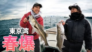 Tokyo Bay] I dropped by and everything was spring-like! - YouTube