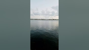 شواطئ نهاية نهر النيل فرع رشيد | القارئ صفوت قلموش .HD