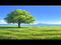 golden hour thoughts — lofi beats to study and relax to | study music for concentration