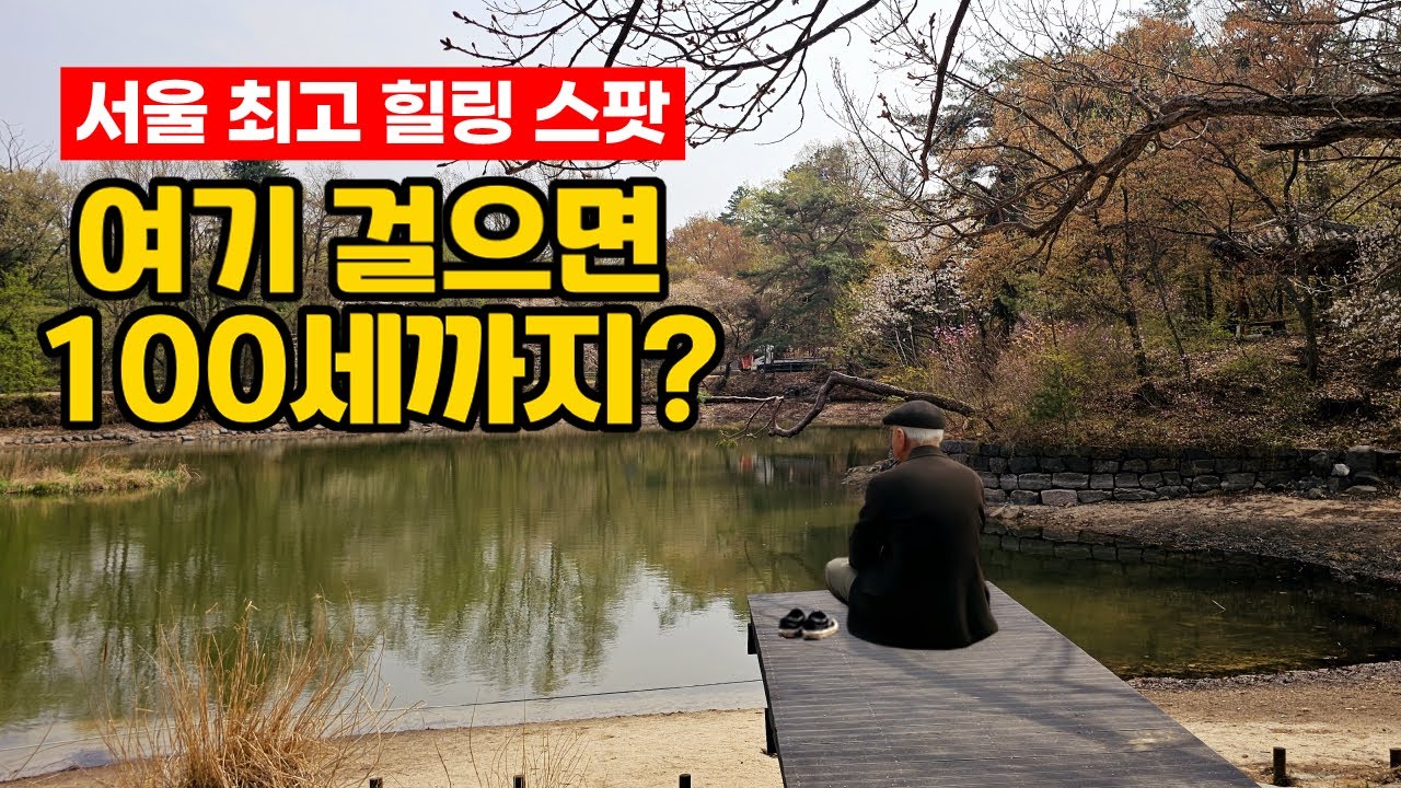 “한 번 걸으면 100세까지? 30만 명이 찾는 서울 속 숨은 힐링 명소 | ‍트레킹 코스 | 도심산책 | 서울산책 | 대중교통 당일치기 여행ㅣ🚝지하철 여행ㅣ