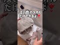 【おうちのタオルやばいかも】タオルのオキシ漬け #オキシクリーン #ワイドハイター粉末 #酸素系漂白剤 #オキシ漬け #つけ置き #つけ置き洗い #洗濯物 #洗濯用品 #洗濯洗剤 #家事 #洗濯