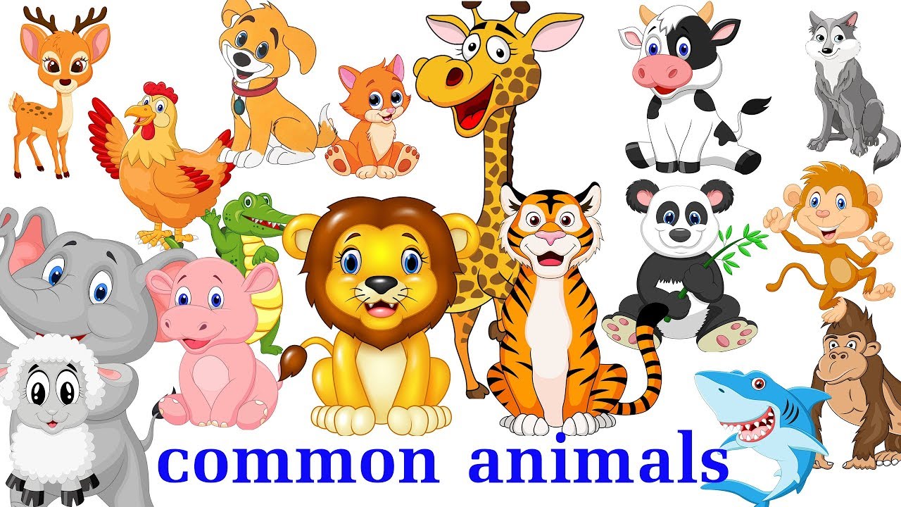 Common animal. Common животных. Животные и их дети с именами. Картинки для детей Zoo animals names мультяшный. Animal Sounds real Life Babies.