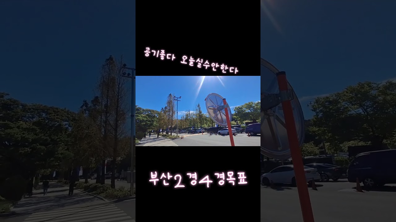 서울3.5.9경주 부산2.4고배당노려본다