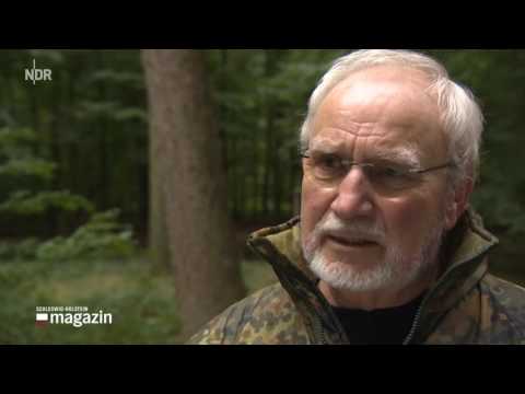 Update New Tierschutz: Nachwuchsjäger werden zum Problem NDR Schleswig Holstein Magazin