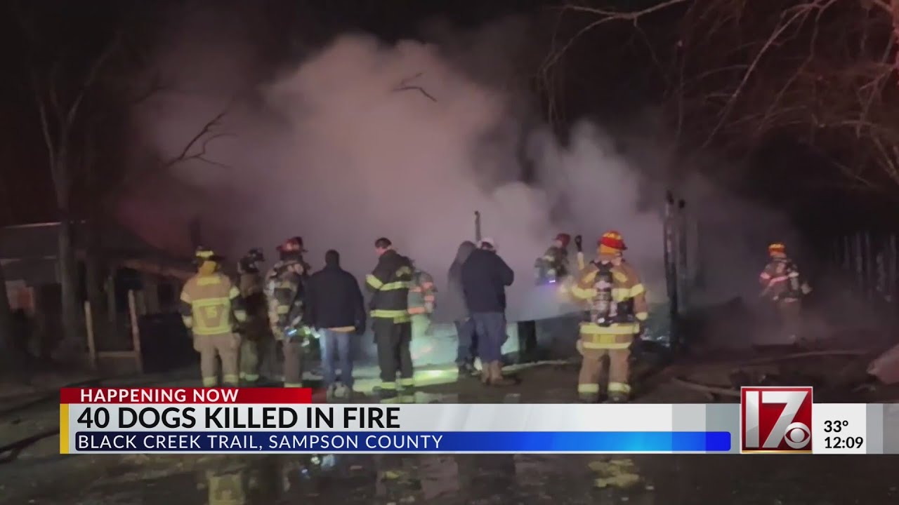 40 dogs killed in Sampson County fire - YouTube