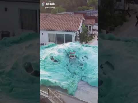 Worlds Largest Elephant