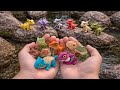 Exciting Toy Dinosaur Hunt | Finding Colorful Carnotaurus, Ankylosaurus & Pteranodon.