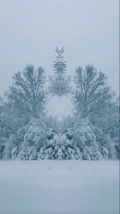 Beautiful snow and beautiful tone