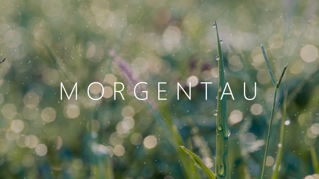Morgentau - Entspannungsmusik | 1h