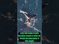 A Blue Whale's Tongue Weighs as Much as a Elephant #shorts #didyouknow #ocean #facts #whale #nature