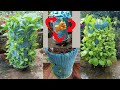 How to recycle and use kitchen waste to grow vegetables with high efficiency