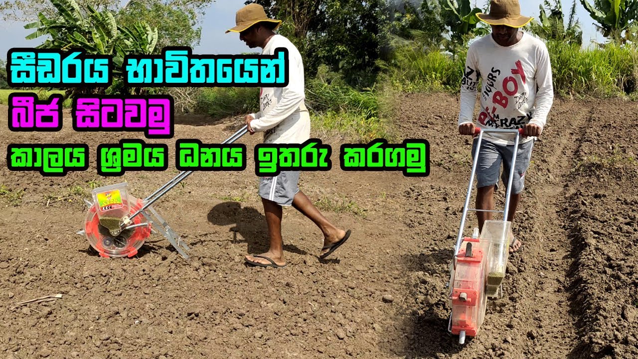 සීඩරය භාවිතා කිරීම | Seeder for paddy cultivation | seeder machine | Seeder Machine | seeder Sinhala