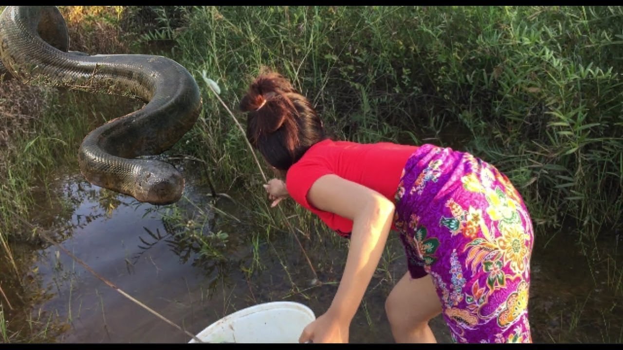 сон выкинул змею