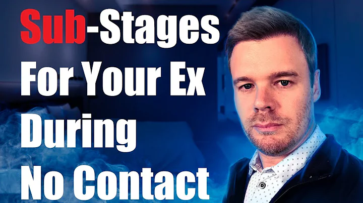 The Dumper's Experience During No Contact Rule (Sub-Stages During No Contact Rule)