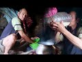 Family in the Jungle || Season - 2 || Video - 13 ||Drinking village's Energy Drinks ||
