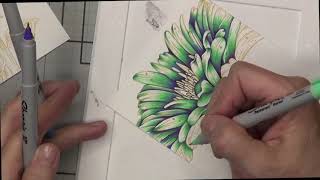 Day 1. Coloring with Sharpies