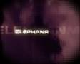 Elephantfilms  wwwelephantfilmscom