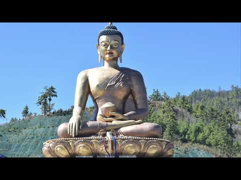 Video Kinh Từ Bi Thủy Sám - Thầy Thích Trí Thoát Tụng Niệm,... - youtube