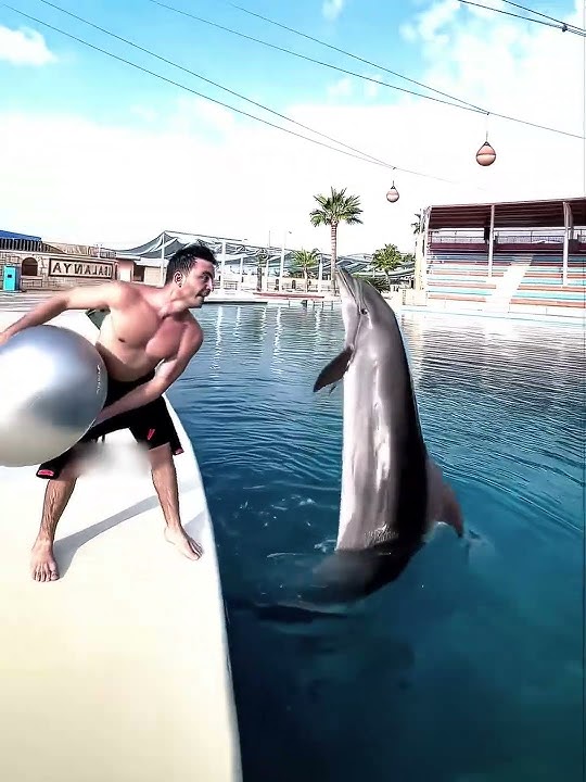 Ronaldo X Dolphin 🐬