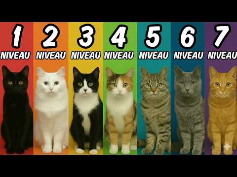 Incroyable ! La COULEUR de TON chat révÚle sa vraie personnalité (le n°7 choque)