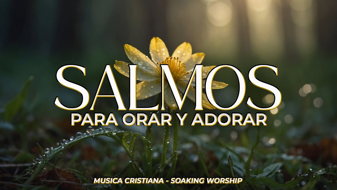 1 HORA de SALMOS CANTADOS para ORAR 🙏 | Música que Trae Paz y Presencia ...