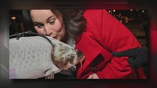 Famous The Big Bundle Up Wealth