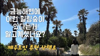 제주도민이 추천하는 힐링장소 / 여름에는 제주도민들의 캠핑장소라는 사실 ㅎㅎ 🫢 by 와니네 제주일상 (slow life in jeju) 182 views 1 year ago 8 minutes, 9 seconds