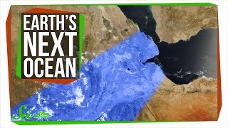 The World's Next Ocean The World's Next Ocean
