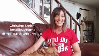 Christine Smith @malibusmama Shares Her Dog Rescue Story | The Little Red Dog Telethon