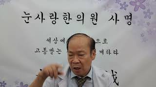 황반변성으로 인한 시신경손상 시신경위축 변시증 중심암점 시력저하 시력장애에 좋은 여섯번째 방법 고질적눈질환책처방편 참고 한의치료 한방관리법