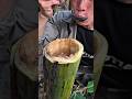 You Won’t Believe How Much Water Is in This Tree 😳💧#lifehacks #survival #shortvideo #viral #skills
