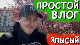 ПАРДУБИЦЕ | КАК ПОЙМАТЬ ПАВЛИНА???