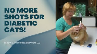 Revolutionary Breakthrough: The New Drug for Newly Diagnosed Diabetic Cats #elanco #bexacat #cats