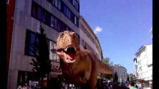 dino gross