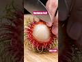 rambutan fruit|rare fruit|uniquefruit #rambutan #fruit #fruitcutting #satisfying #shorts #fyp #viral
