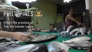 Philippines - Life in the province of Palo Alto, Calamba, Laguna │ Part 1