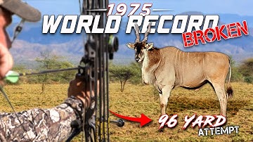Bowhunting A WORLD RECORD Patterson Eland | BEAST BROADHEAD |
