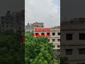 Bolton market | Barish | TT LIGHT