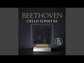 Miniature de la vidéo de la chanson Cello Sonata No. 3 In A Major, Op. 69: Iv. Allegro Vivace