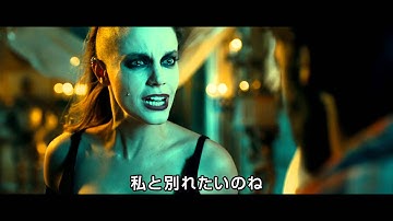 強盗団が魔女のいる村に逃げ込んだら……！映画『スガラムルディの魔女』予告編